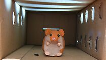 Hamster Hell