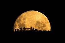 Wonders of the Moon
