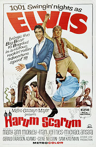 Harum Scarum