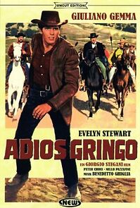 Adiós gringo