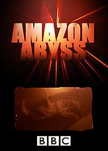 Amazon Abyss