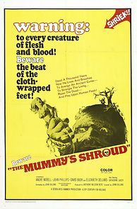 The Mummy's Shroud