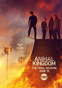 Animal Kingdom