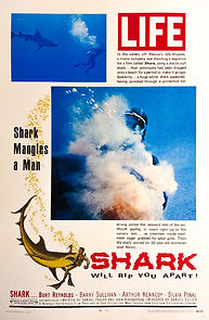 Shark