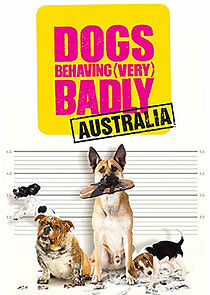Dogs Behaving