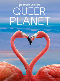 Queer Planet