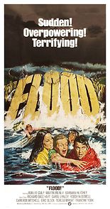 Flood