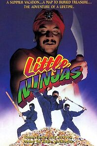 Little Ninjas
