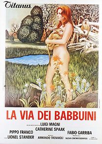 La via dei babbuini