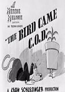 The Bird Came C.O.D.