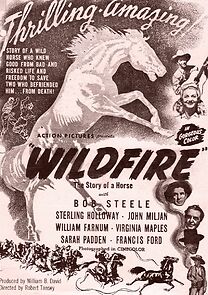 Wildfire
