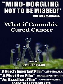 What If Cannabis Cured Cancer