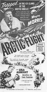 Arctic Flight
