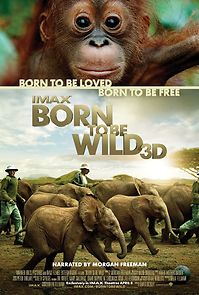 Born to Be Wild